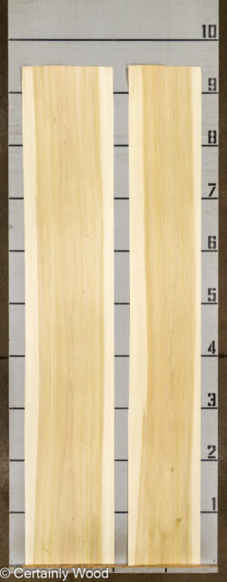 POPLAR_26224-1A_2