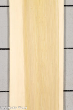 POPLAR_26224-1B_1