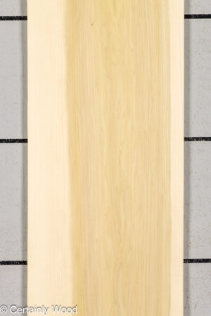 POPLAR 26224-1B