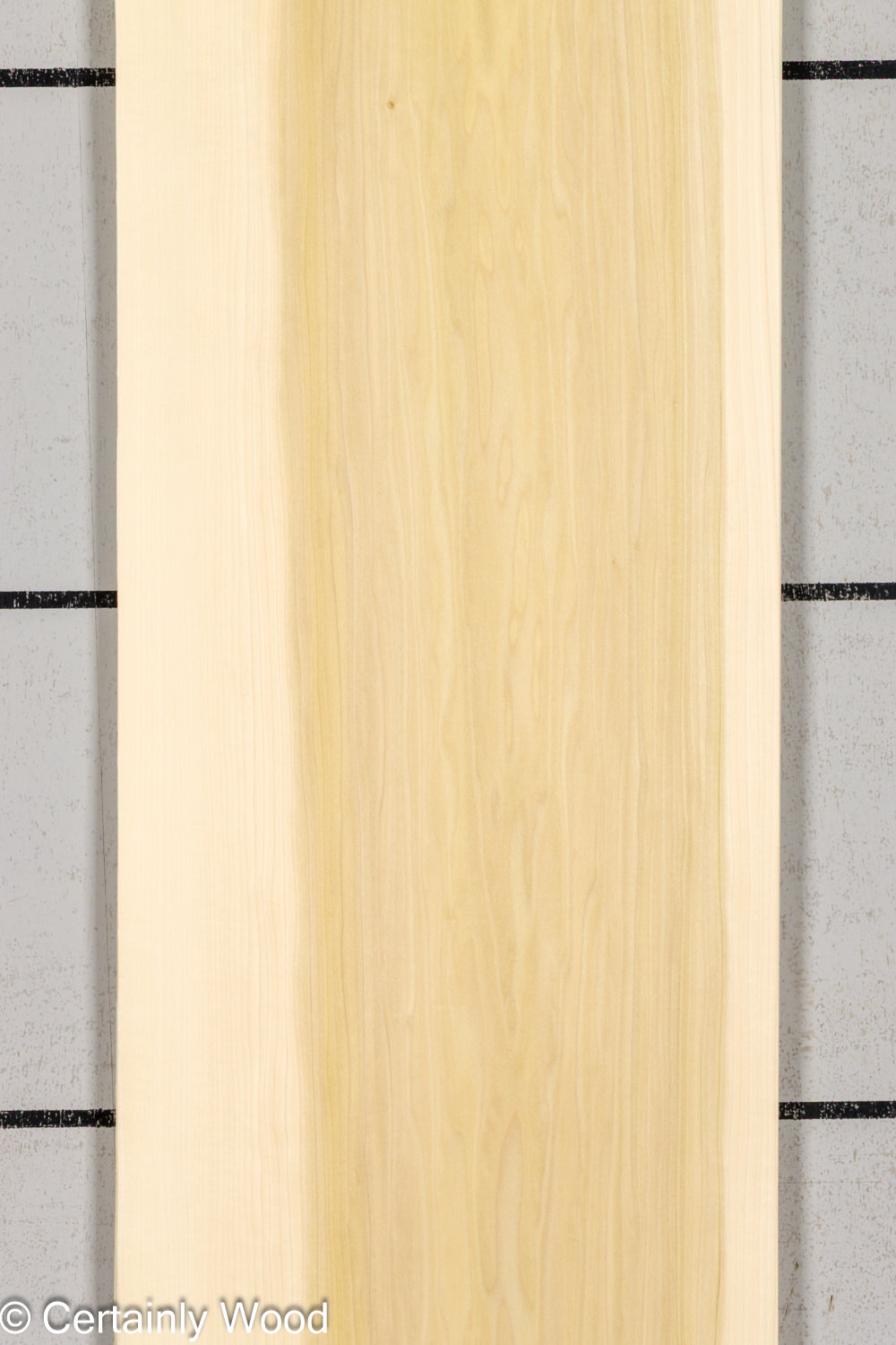 POPLAR_26224-1B_1