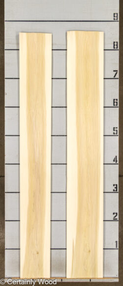 POPLAR_26224-1B_2