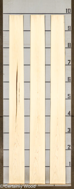 POPLAR_26224-1C_2