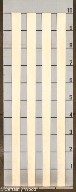 POPLAR_26224-1D_2
