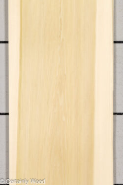 POPLAR_26224-2A_1