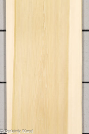 POPLAR 26224-2A