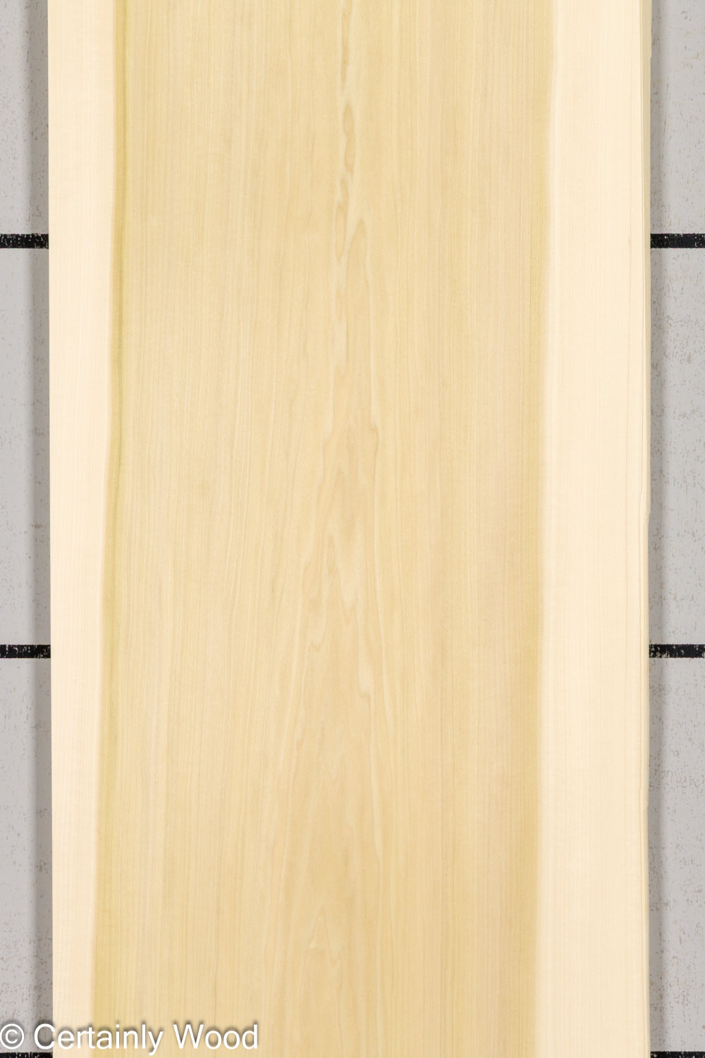 POPLAR_26224-2A_1
