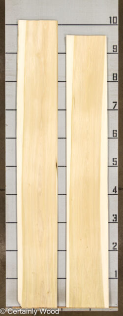 POPLAR_26224-2A_2