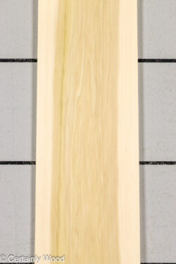 POPLAR_26224-2B_1