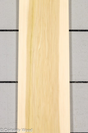 POPLAR 26224-2B