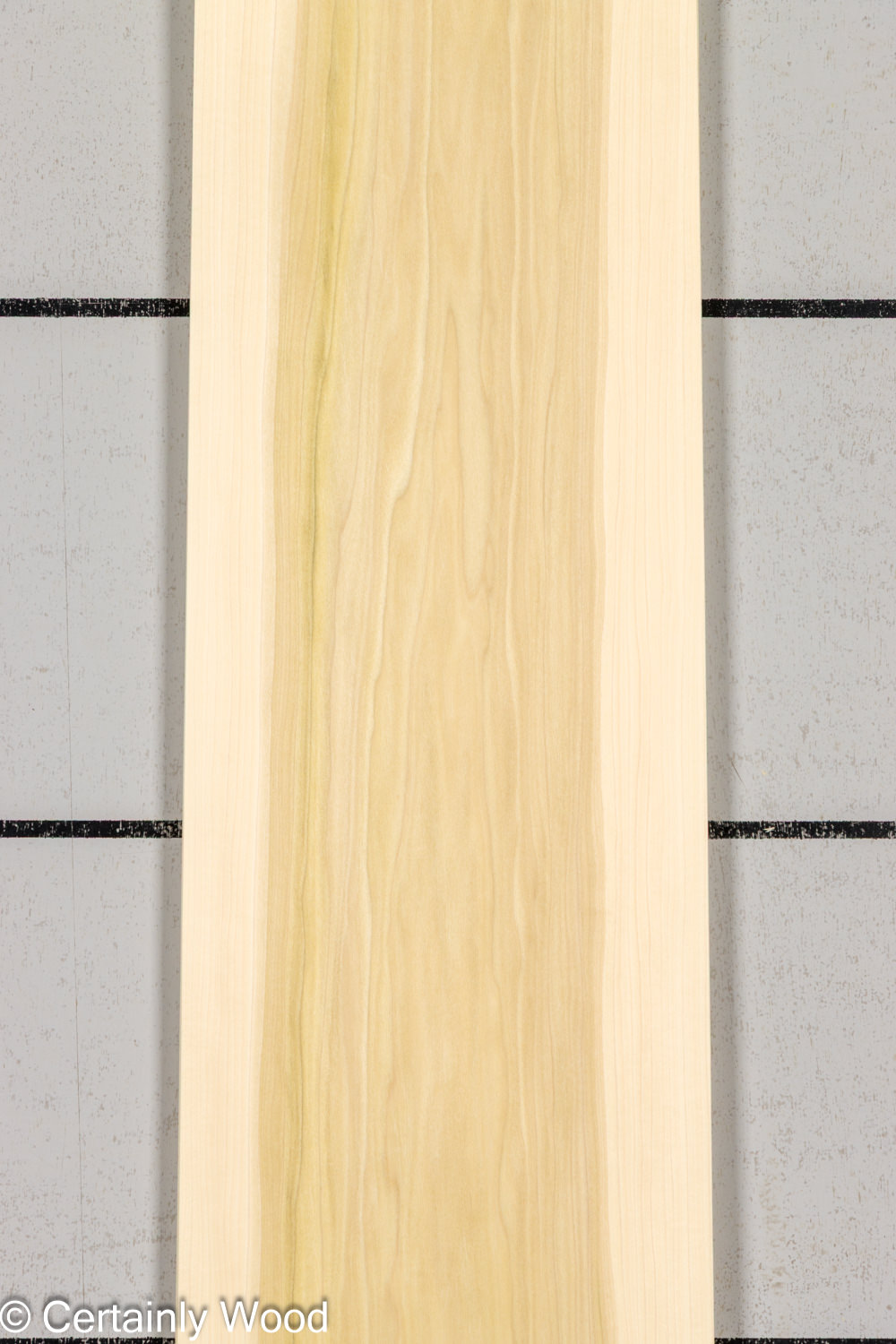 POPLAR_26224-2B_1