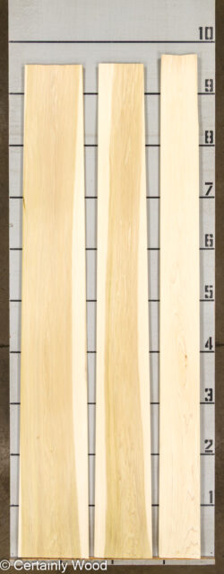 POPLAR_26224-2B_2