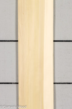 POPLAR_26224-3_1