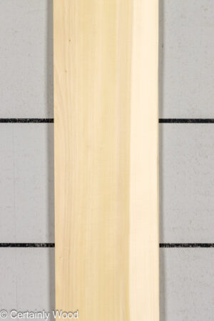 POPLAR 26224-3