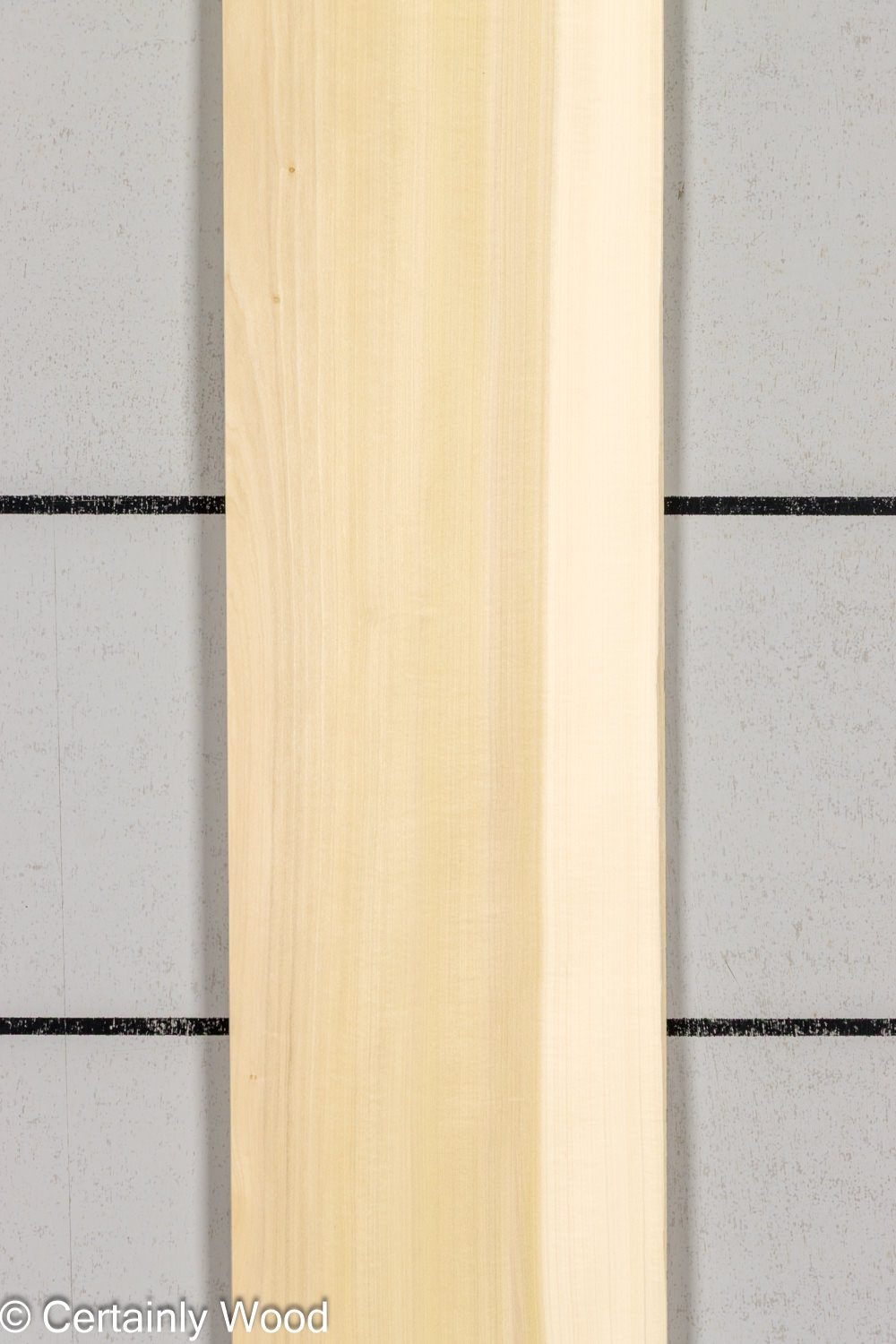 POPLAR_26224-3_1