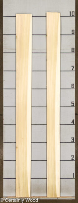 POPLAR_26224-3_2