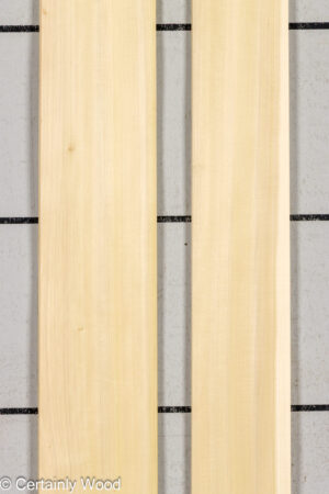 POPLAR 26224-4