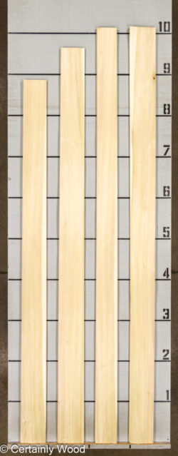 POPLAR_26224-4_2