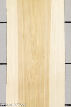 POPLAR_26225-1_1