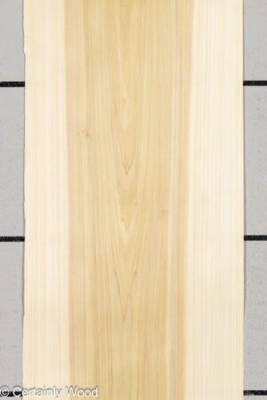 POPLAR 26225-1