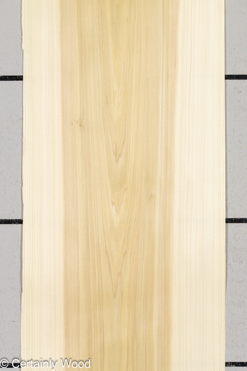 POPLAR_26225-1_1