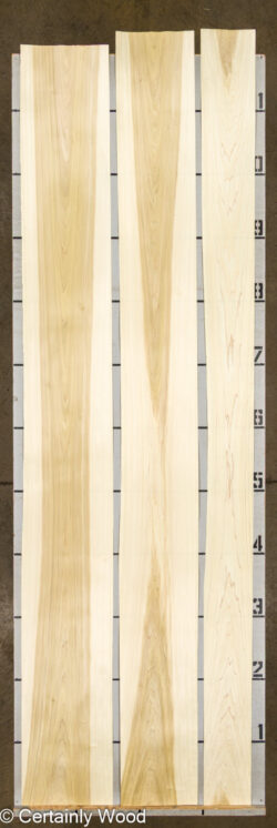 POPLAR_26225-1_2