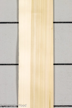 POPLAR 26225-2