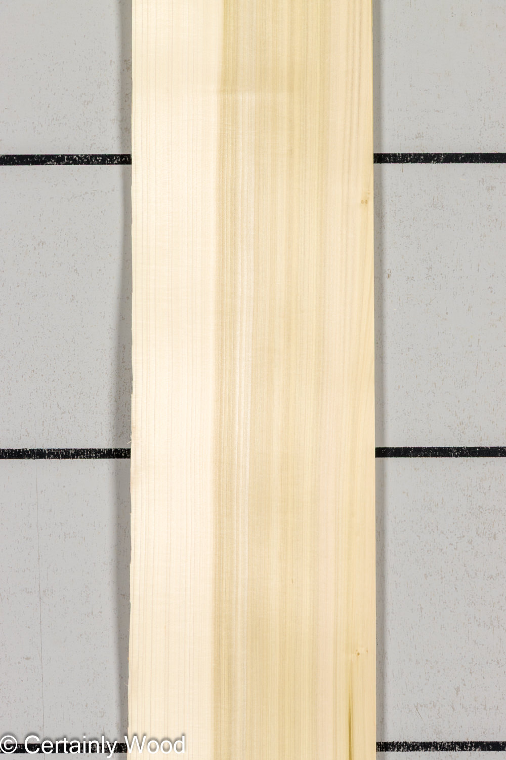 POPLAR_26225-2_1