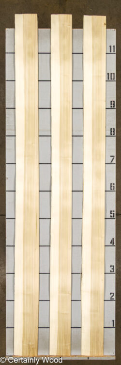 POPLAR_26225-2_2