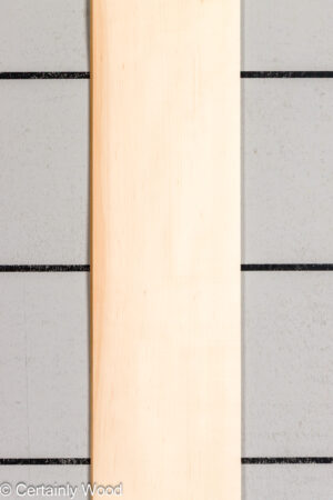 QT MAPLE 26221-1