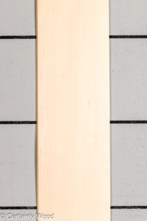QT MAPLE 26221-2
