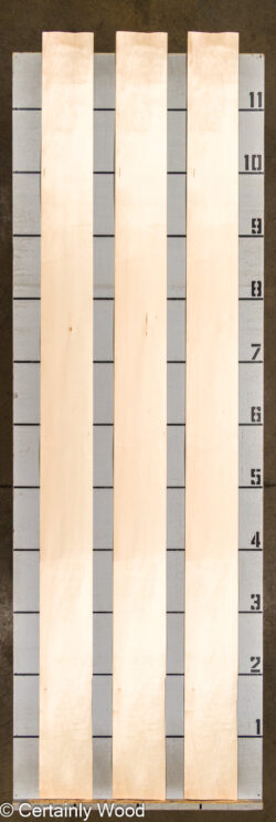 QT_MAPLE_26221-2_2