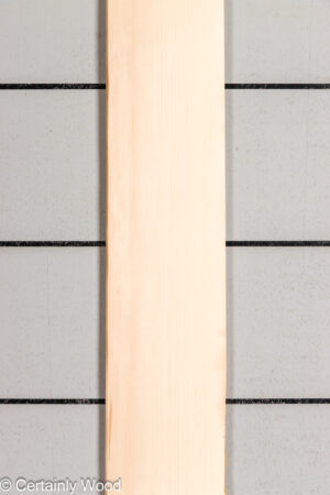QT MAPLE 26223-3