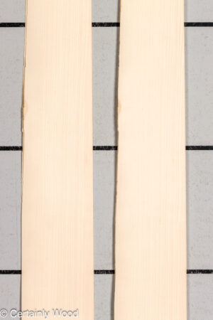 QT MAPLE 26223-7