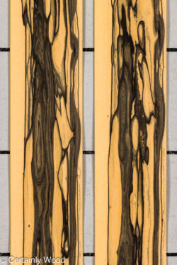 R_EBONY_26148-2A_1