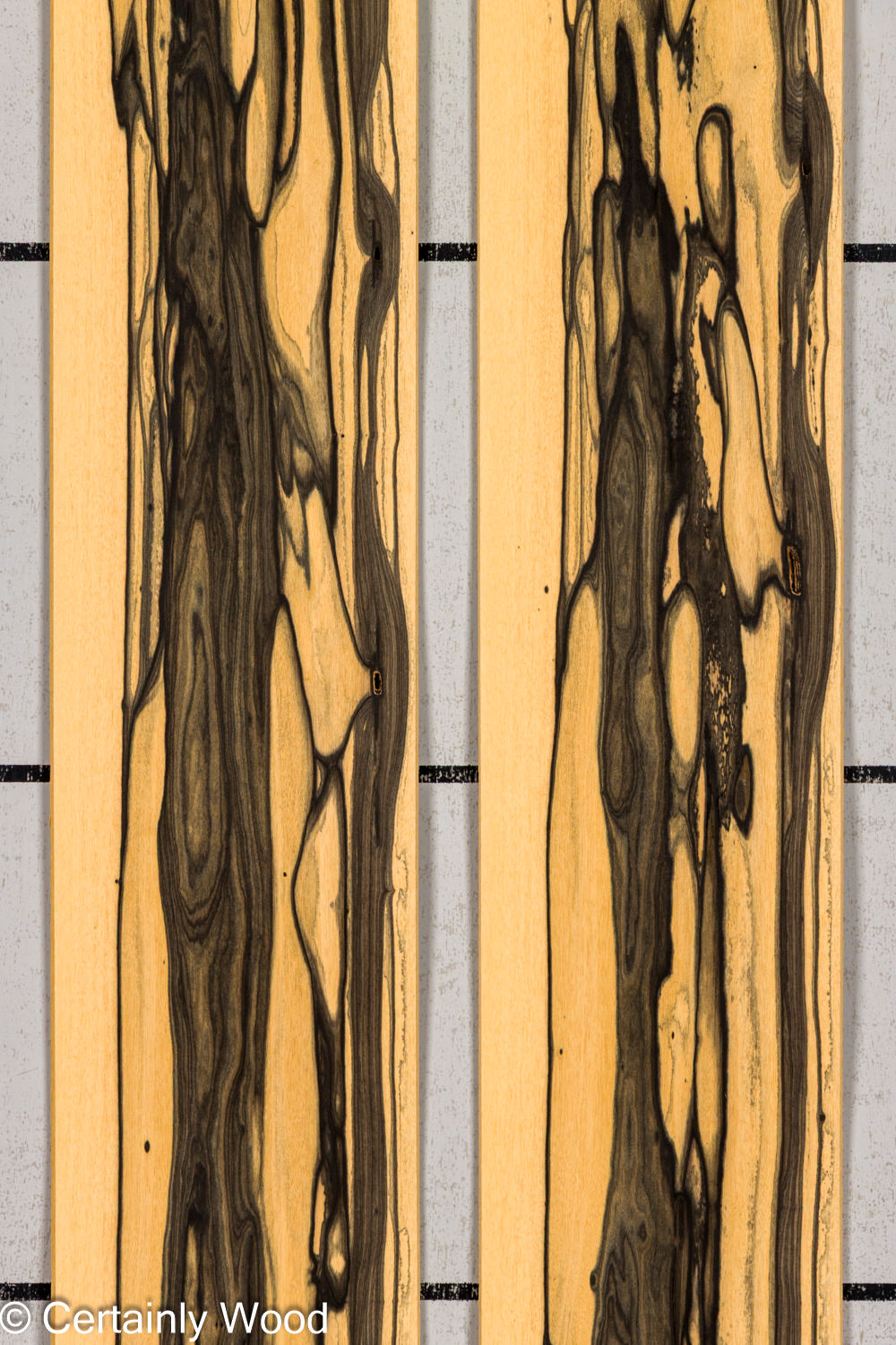 R_EBONY_26148-2A_1