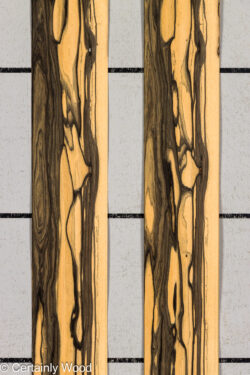 R_EBONY_26148-2B_1