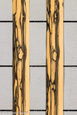 R_EBONY_26148-2C_1