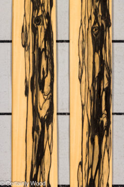 R_EBONY_26148-3A_1