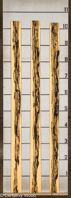 R_EBONY_26148-3A_2