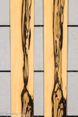 R_EBONY_26148-3B_1
