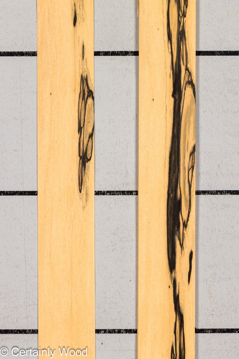 R_EBONY_26148-3C_1