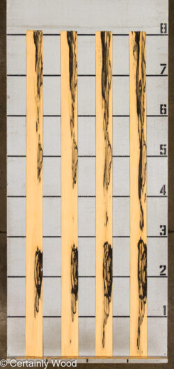 R_EBONY_26148-3C_2
