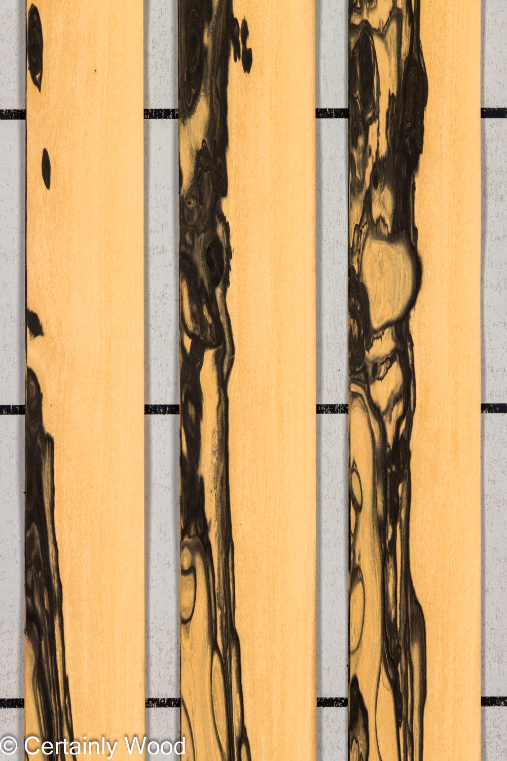 R_EBONY_26148-4_1