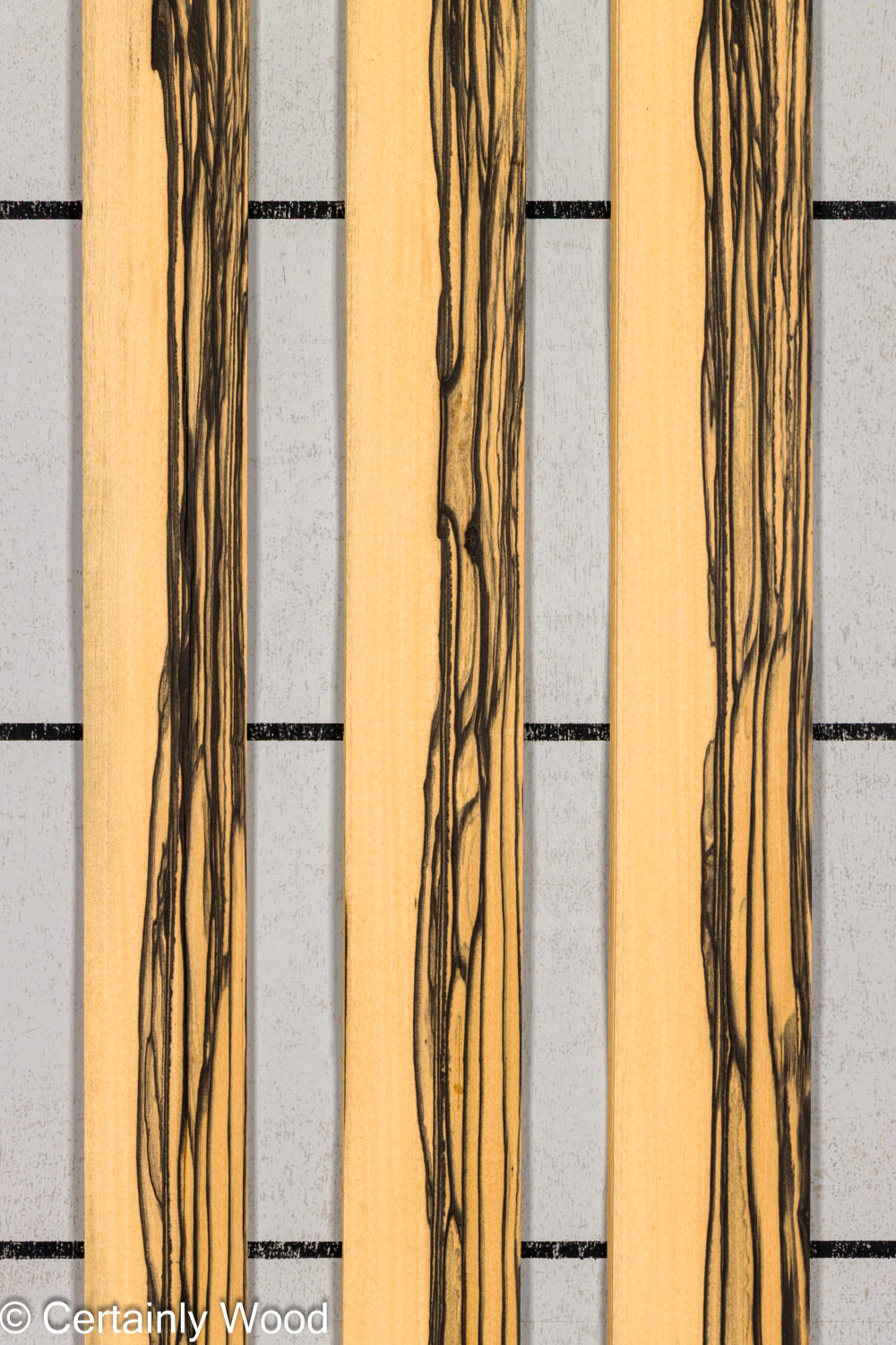 R_EBONY_26148-5_1