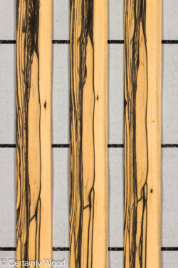 R_EBONY_26148-6A_1