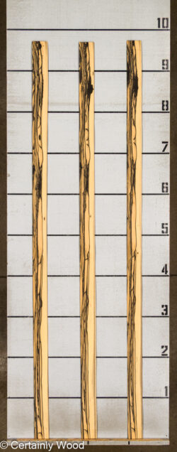 R_EBONY_26148-6A_2