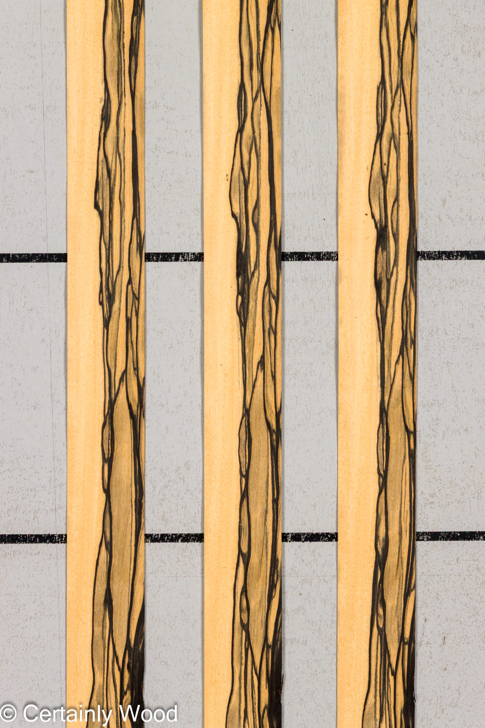 R_EBONY_26148-7B_1