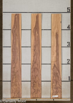 WS_16_WALNUT_26197-1C_2