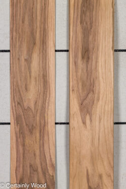 WS_16_WALNUT_26198-2E_1