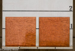 WS_KEWAZINGA_26074-14_2
